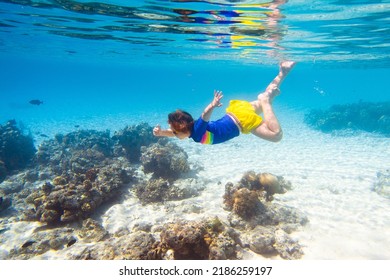 Child Snorkeling. Kids Swim Underwater. Beach And Sea Summer Vacation With Children. Little Girl Watching Coral Reef Fish. Marine Life On Exotic Island. Kid Swimming And Diving With Snorkel And Mask.