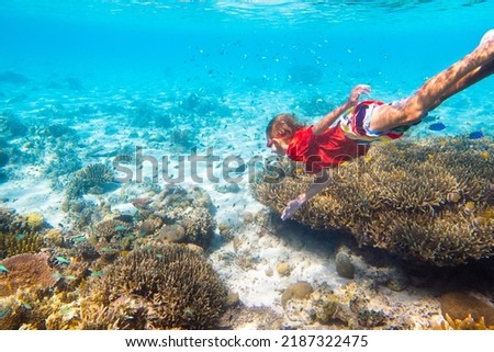 Child snorkeling. Kids swim underwater. Beach and sea summer vacation with children. Little girl watching coral reef fish. Marine life on exotic island. Kid swimming and diving with snorkel and mask.
