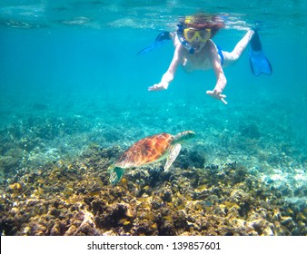 Child Snorkeling In A Tropical Sea Next To A Turtle