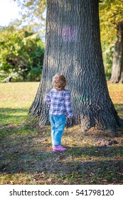 Child Standing Near A Tree Looking Up