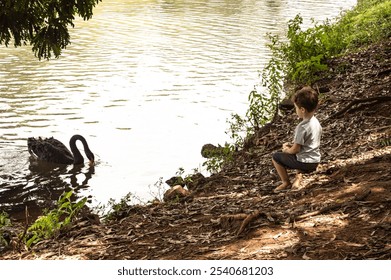 A child stands by a lakeside feeding a duck (Anas platyrhynchos) near the water’s edge. The natural setting creates a peaceful atmosphere, with selective focus on the child and duck. - Powered by Shutterstock