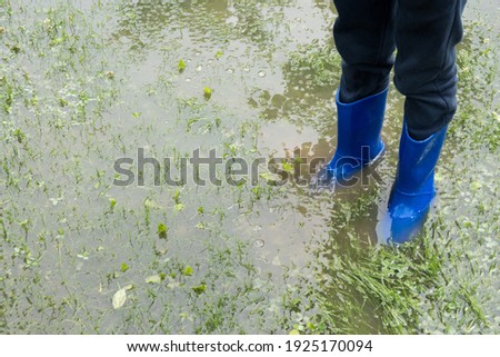 The child stands in the garden in the water, feet in rainfoot. The garden is flooded. Consequences of downpour, flood. Rainy summer or spring