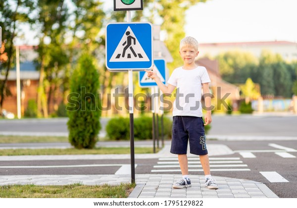 a child stands at\
a Pedestrian crossing sign and points at it with his finger,\
traffic rules for children