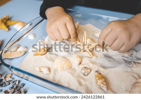 A child studies sand and shells, an idea for an activity with a child.