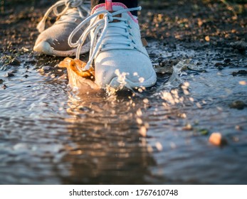 Child stumps in a puddle with sneakers - Powered by Shutterstock