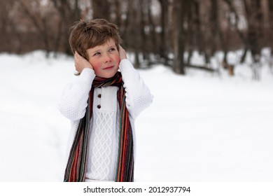 A Child In A Sweater And Scarf In The Winter On The Street Covers His Ears With His Hands Because They Are Frozen. A Child With Red Cheeks In The Woods In The Cold Froze Against A Blurry Background.