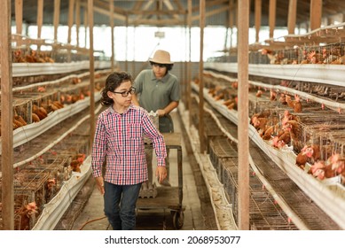 	
Child And Teenager Collecting Eggs On A Chicken Farm