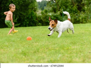 Child Throwing Toy Ball To Dog Catching It