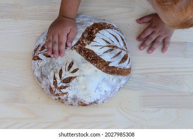 Child Touching Home Baked Wheat Bread With Whole Grain Flour On Wooden Board. Child's Hand On Crusty Sourdough Loaf Of Whole Grain Bread With Hand Scoring In A Shape Ow Wheat Ears And Autumn Leaf