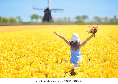Child in tulip flower field with windmill in Holland. Little Dutch girl in white hat with bow picking flowers for bouquet. Kid in tulips fields in the Netherlands at wind mill.