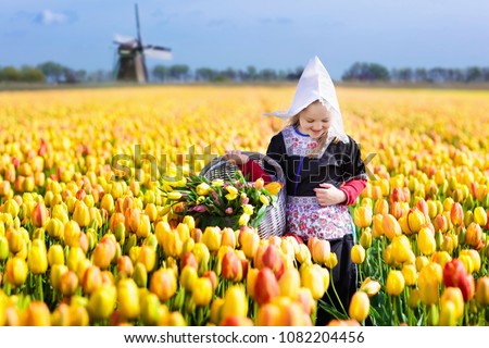 Child in tulip flower field with windmill in Holland. Little Dutch girl in traditional national costume, dress and hat, with flower basket. Kid in tulips fields in the Netherlands at wind mill.