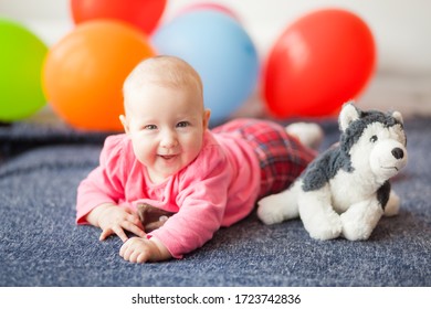 A Child Under One Year Old Lies On His Tummy On A Sofa Near A Dog’s Toy On The Background Of Multi-colored Balloons