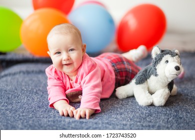 A Child Under One Year Old Lies On His Tummy On A Sofa Near A Dog’s Toy On The Background Of Multi-colored Balloons