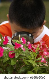 Child Using Magnifying Glass At The Park