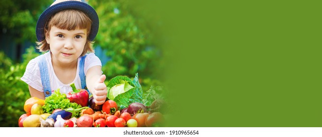 Child And Vegetables On The Farm. Selective Focus. Nature.