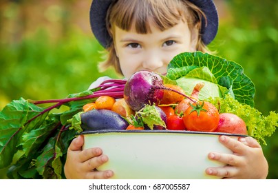 Child And Vegetables. Selective Focus. 