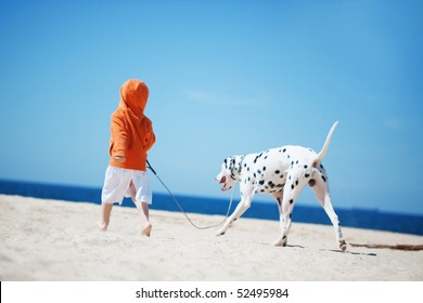 Child Walking Alone With Her Lovely Dog At Beach