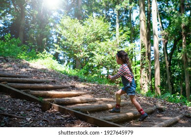 A Child Walking On The Steps Of The Forest