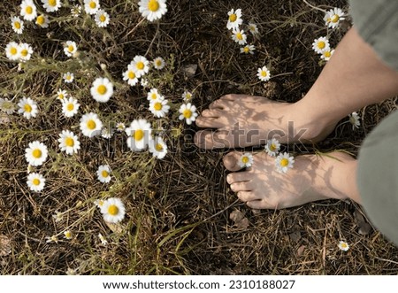 Similar – Image, Stock Photo bare feet on green meadow with white and yellow flowers
