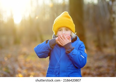 Child warming froze hands during walk in the forest on a cold autumn day. Preschooler boy is having fun while walking through the autumn forest. Active family time on nature.