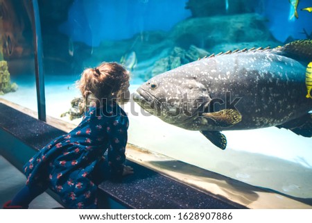 Child watching fish through the glass in a Oceanarium.