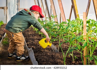 Child Watering The Garden