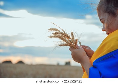 A Child With Wheat Ears Against The Sky. A Child With The Ukrainian Flag In The Field. War In Ukraine. Peace Concept. Wheat In Children's Hands. Export Of Ukrainian Grain. Children Against War