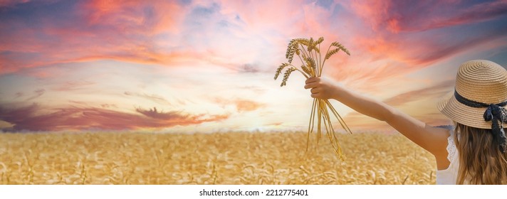 A child in a wheat field. Selective focus. nature. - Shutterstock ID 2212775401