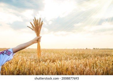 Child in a wheat field. In vyshyvanka, the concept of the Independence Day of Ukraine. Selective focus. Kid. - Shutterstock ID 2008877693