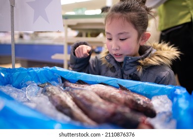 A Child Who Chooses Fish At The Fresh Fish Counter