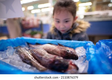 A Child Who Chooses Fish At The Fresh Fish Counter