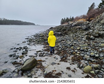 A Child In A Yellow Rain Jacket Exploring A Rocky Shore.