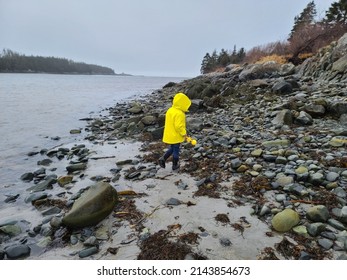 A Child In A Yellow Rain Jacket Exploring A Rocky Shore.