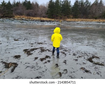 A Child In A Yellow Rain Jacket Exploring A Beach.