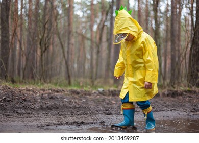 Child in a yellow raincoat walking in a puddle in rubber boots, walking in the forest after the rain
