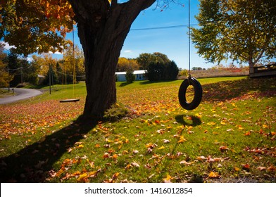 Childhood Nostalgia Image Of A Tire Swing And A Chair Swing Hanging From A Tree On A Sunny Fall Afternoon.