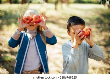 Children With Apple In Apple Orchard. Harvest Concept. Garden, Boy And Girl Eating Fruits At Fall. Child Picking Apples On Farm In Autumn. Children And Ecology. Healthy Nutrition Garden Food.