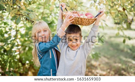 Similar – Image, Stock Photo Little girl picking apples with senior woman