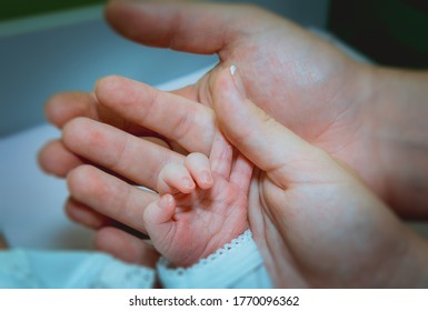 Children. Babies. Small hand of a newborn baby in the hands of happy parents