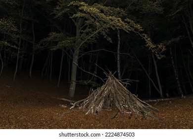 Children bulit tent in a forest at night.