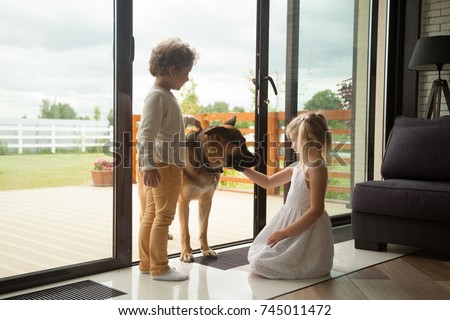 Similar – Image, Stock Photo On the dog come hodgepodge