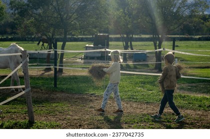 Children carrying hay to feed horses on a farm - Powered by Shutterstock