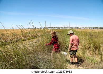 Children Catching Yabbies With Net In Rural Australia. Overgrown Channel Bank On Farm With Wildflowers.