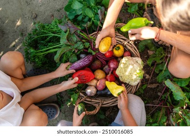 children collect vegetables in the plot. Selective focus.