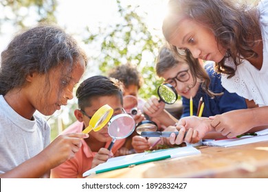 Children curiously look through a magnifying glass at a leaf in the ecological summer camp - Powered by Shutterstock