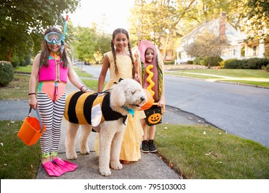 Children And Dog In Halloween Costumes For Trick Or Treating