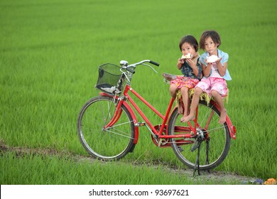 Children Eating Cake In Paddy Field.