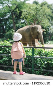 Children feed Asian elephants in tropical safari park during summer vacation. Kids watch animals - Shutterstock ID 1192360510