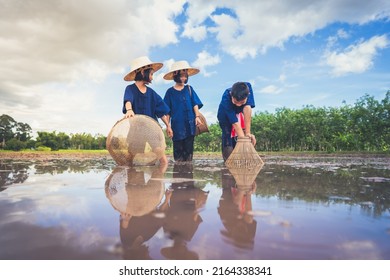 Children Finding Fish On Tradition Tool For Catch Fish In Rice Field Of Rural, Asian Kid Catching Fish In Mud On Beautiful Landscape Sky And Field Background, Happy People Of Activity, Fishing Concept