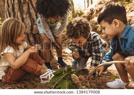 Children in forest looking at leaves as a researcher together with the magnifying glass.